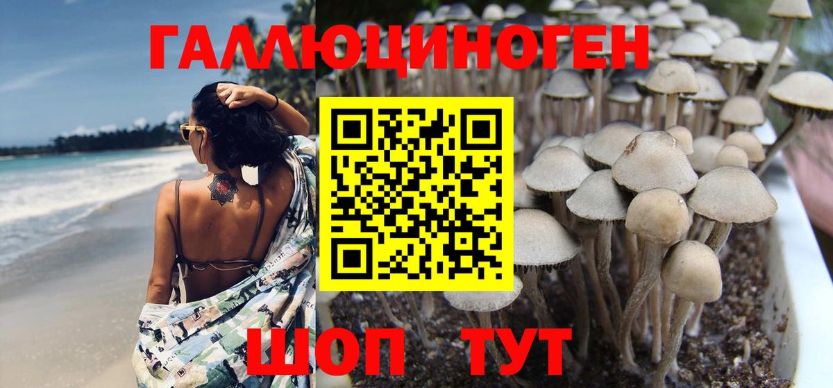 Псилоцибиновые грибы Magic Shrooms Балтийск