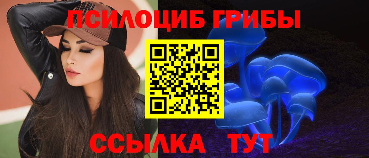 Балтийск  Галлюциногенные грибы ЛСД  Вход с VPN 